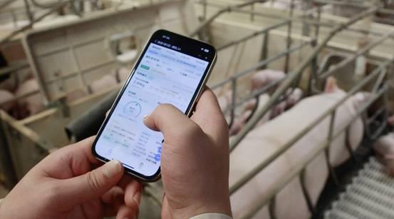 牧原股份荣获“2024年度河南省数字领航企业”(图2)