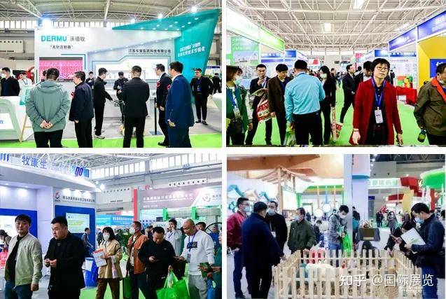 凯发国际2024全国畜牧展石家庄站