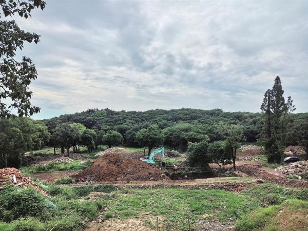 太湖无人古村迎来“新生”