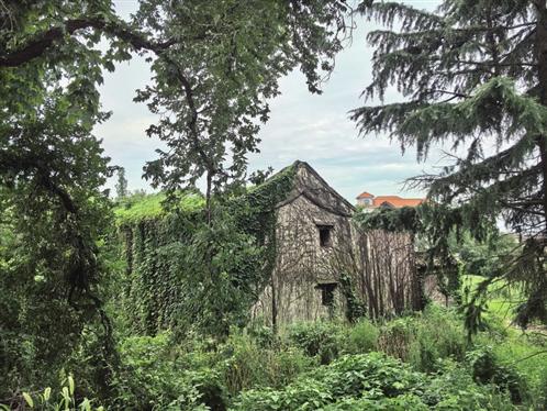 太湖无人古村迎来“新生”(图2)