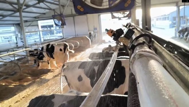 直击夏季“热应激”蒙牛三大创新举措守护奶牛健康(图2)