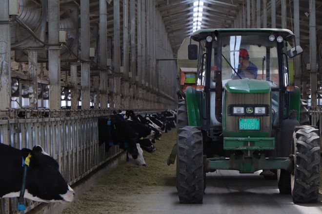 直击夏季“热应激”蒙牛三大创新举措守护奶牛健康(图4)