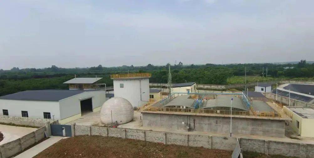 会长动态新希望建成全国首个种猪生产与种猪培育楼房式一体化猪场(图5)