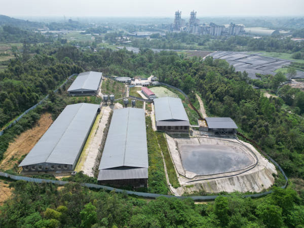 老板掉进凯发旗舰厅化粪池6人施救不幸全遇难