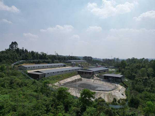 老板掉进凯发旗舰厅化粪池6人施救不幸全遇难(图2)