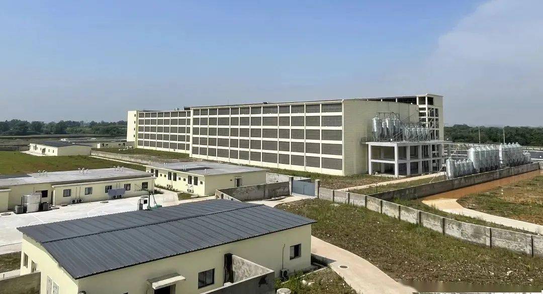 会长动态新希望建成全国首个种猪生产与种猪培育楼房式一体化猪场(图2)