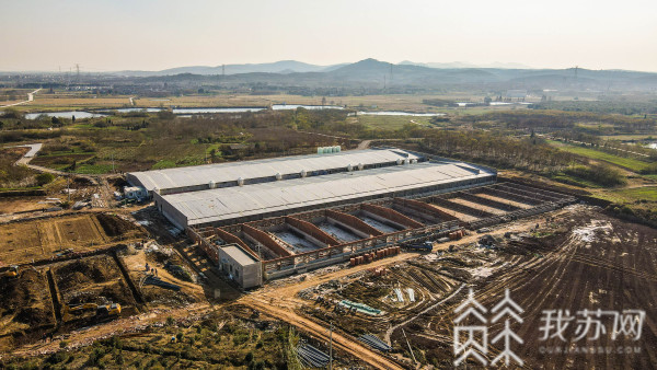 镇江丹徒：养猪场恒温恒氧自动喂食电气化养殖助力乡村振兴