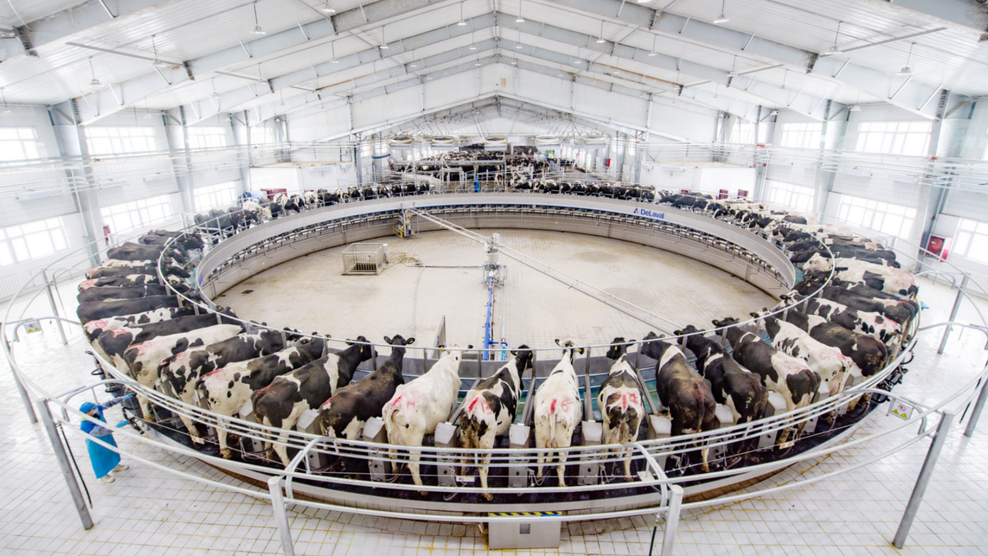 ag凯发新疆昌吉：“畜”势以待产业发展有“犇”头