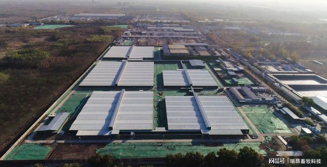 专业养猪人提醒：在养猪的道路上这些弯路不必走！(图2)