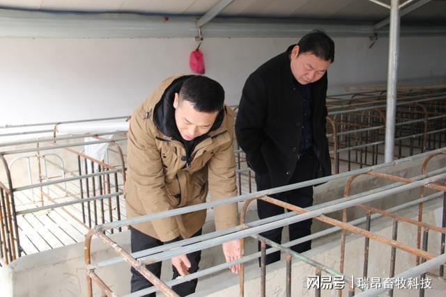 专业养猪人提醒：在养猪的道路上这些弯路不必走！(图3)