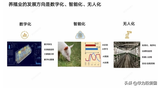 华为推“智慧养猪”：无人化配机器人巡检(图2)