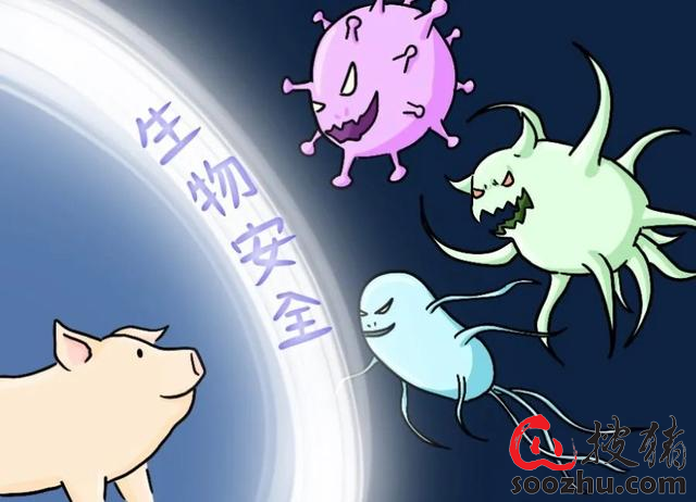 ag凯发有什么方法可以兼顾猪场生物安全与降本增效？