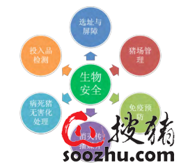 ag凯发有什么方法可以兼顾猪场生物安全与降本增效？(图2)