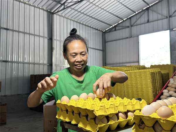 仁怀：畜牧业向“新”进助推产业发展(图2)