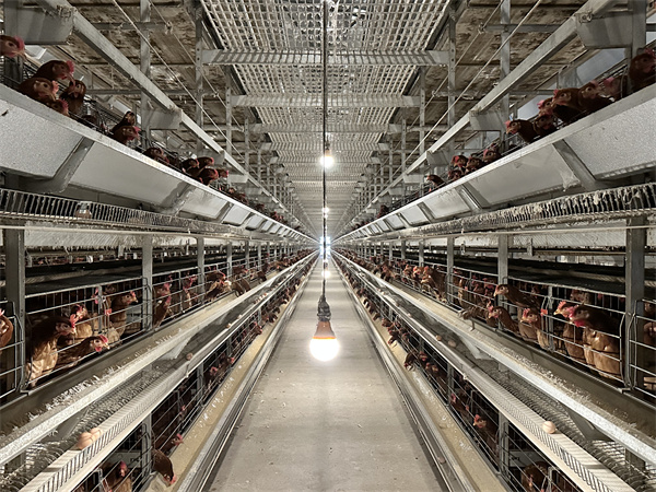 仁怀：畜牧业向“新”进助推产业发展(图1)