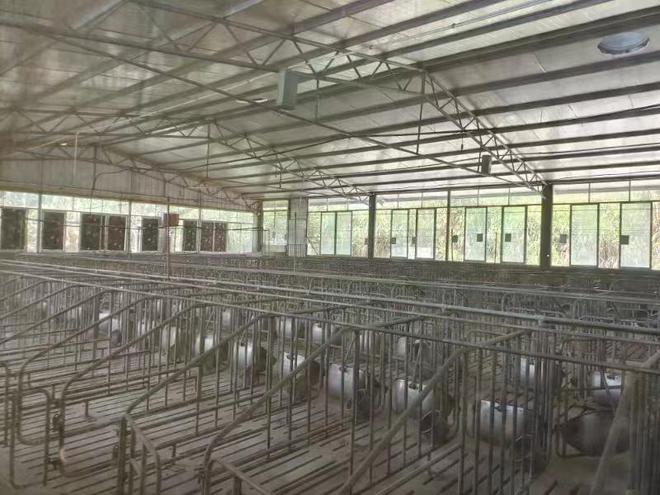 河池宜州一个大型养猪场整体拍卖1438万元起还是流拍了