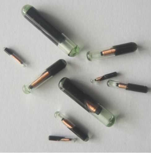 【IOTE】专注于畜牧业、宠物业、汽车ag凯发芯片、温度芯片为代表的硕电电子将亮相IOTE国际物联网展(图2)