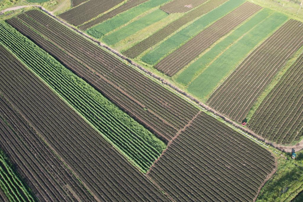 “烂菜叶”变废为宝——祁连山下的绿色发展实践