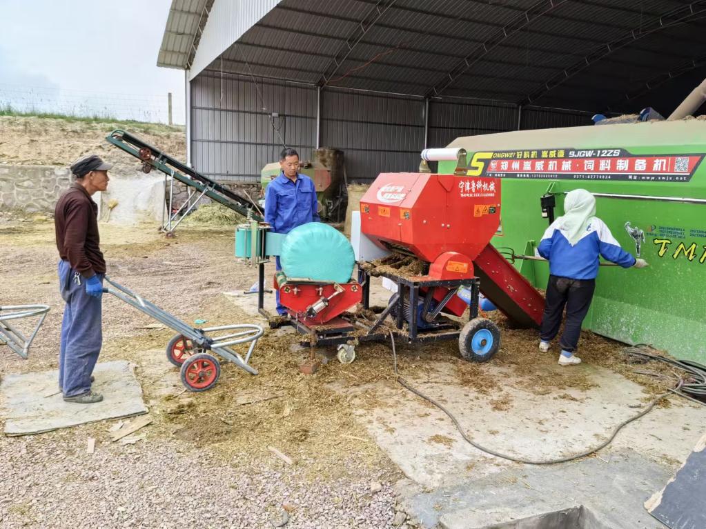 “烂菜叶”变废为宝——祁连山下的绿色发展实践(图2)