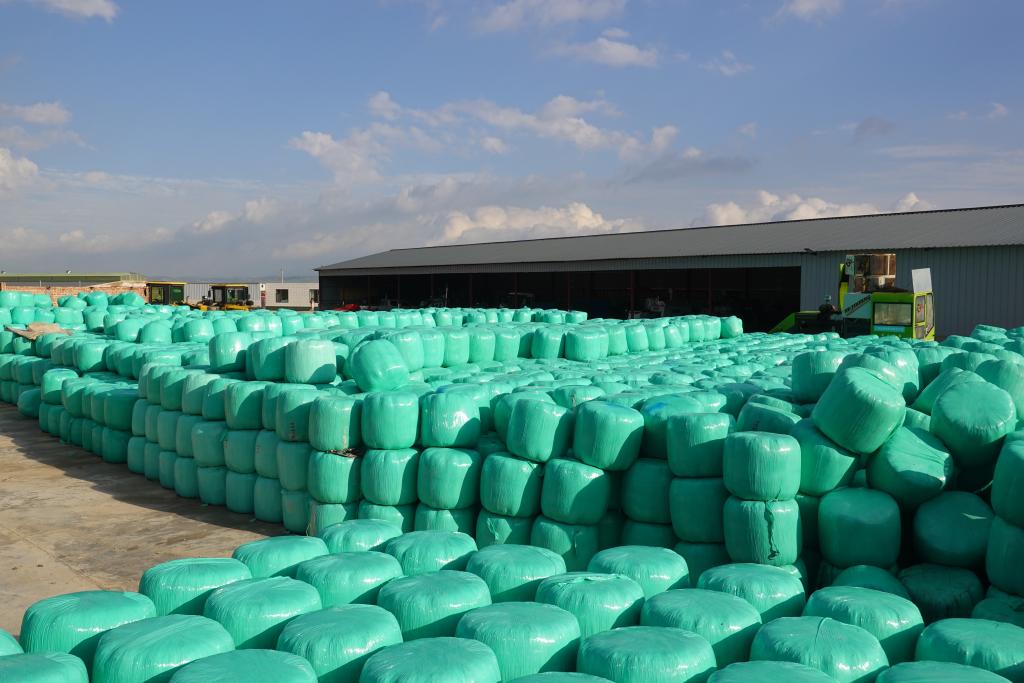 “烂菜叶”变废为宝——祁连山下的绿色发展实践(图3)