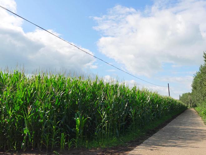 150万粉单场直播带货超1148万！快手腰部三农达人“明明姐”再创电商奇迹(图8)