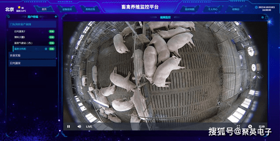 凯发国际养猪场主要设备(图7)