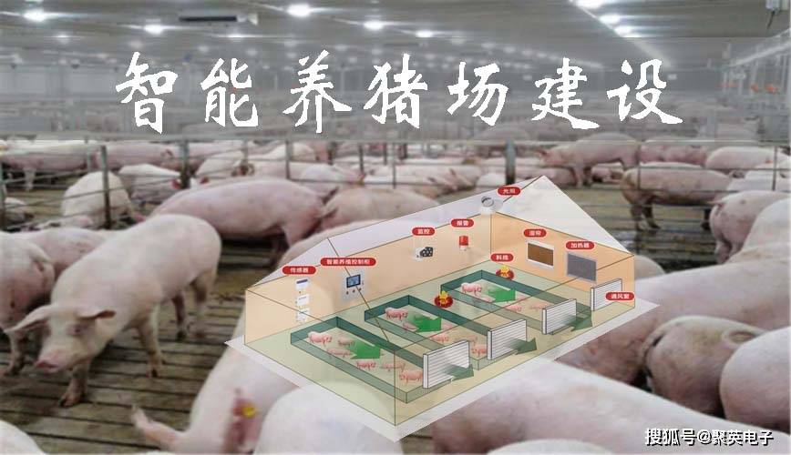 凯发国际养猪场主要设备