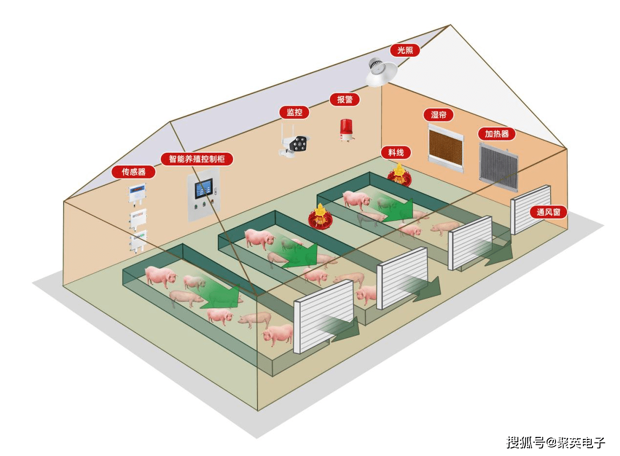 凯发国际养猪场主要设备(图2)