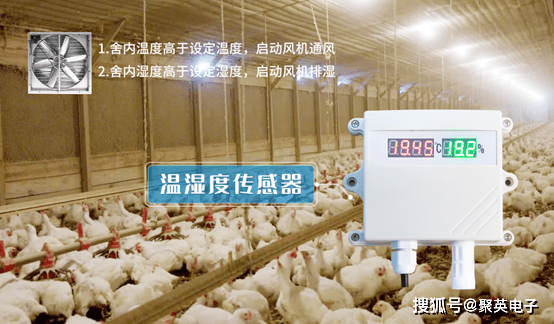 凯发国际养猪场主要设备(图5)