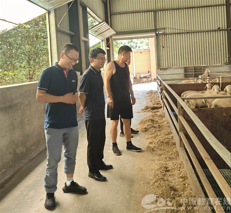 实验室搬到农场凯发国际牧场养殖场浙江农林大学教授团队助力畜牧业科学养殖增效益