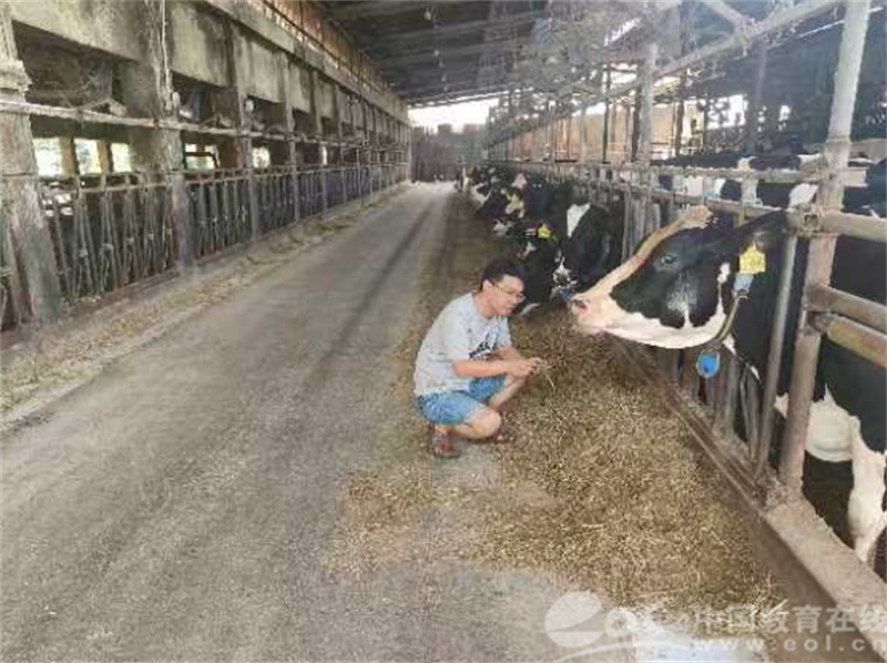 实验室搬到农场凯发国际牧场养殖场浙江农林大学教授团队助力畜牧业科学养殖增效益(图3)