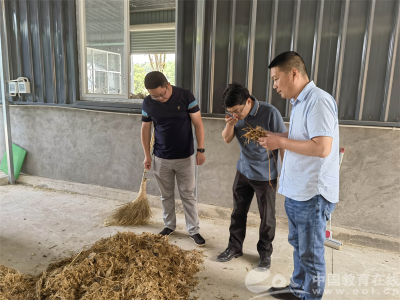 实验室搬到农场凯发国际牧场养殖场浙江农林大学教授团队助力畜牧业科学养殖增效益(图2)