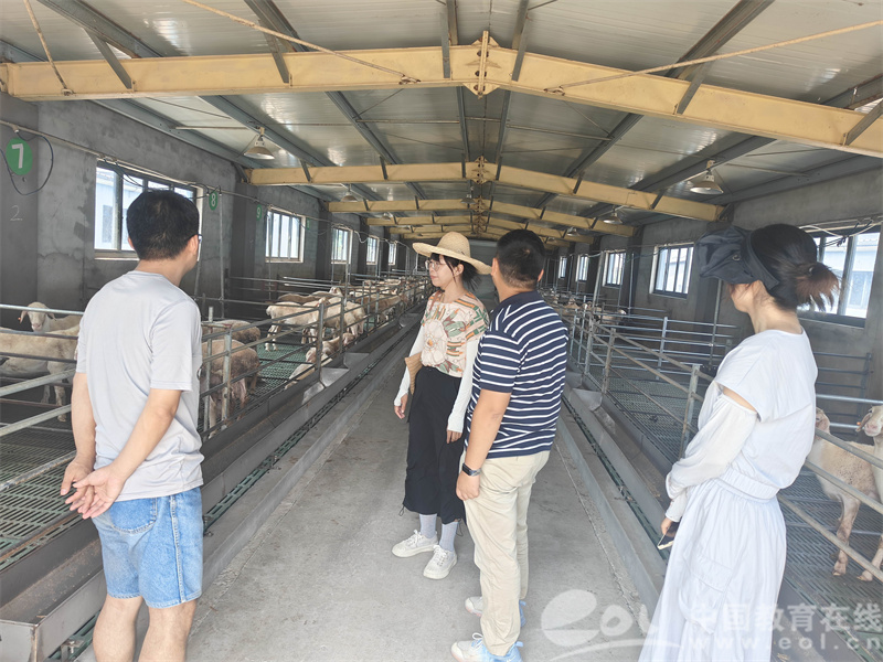 实验室搬到农场凯发国际牧场养殖场浙江农林大学教授团队助力畜牧业科学养殖增效益(图4)