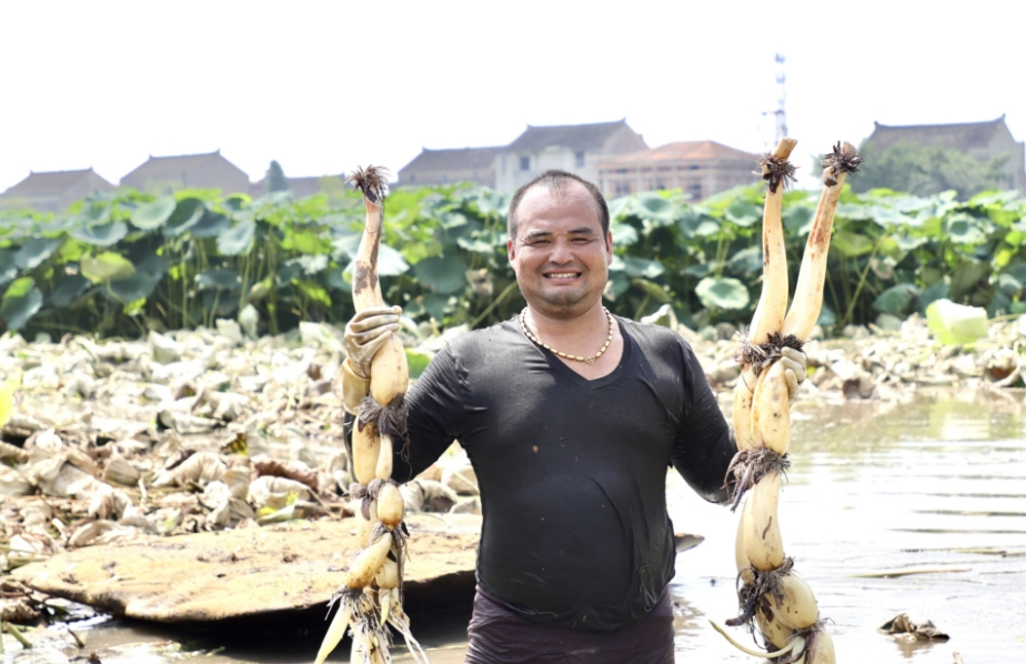 【锚定现代化改革再深化】靖江：拓展乡村产业发展空间村集体经济“百花齐放”