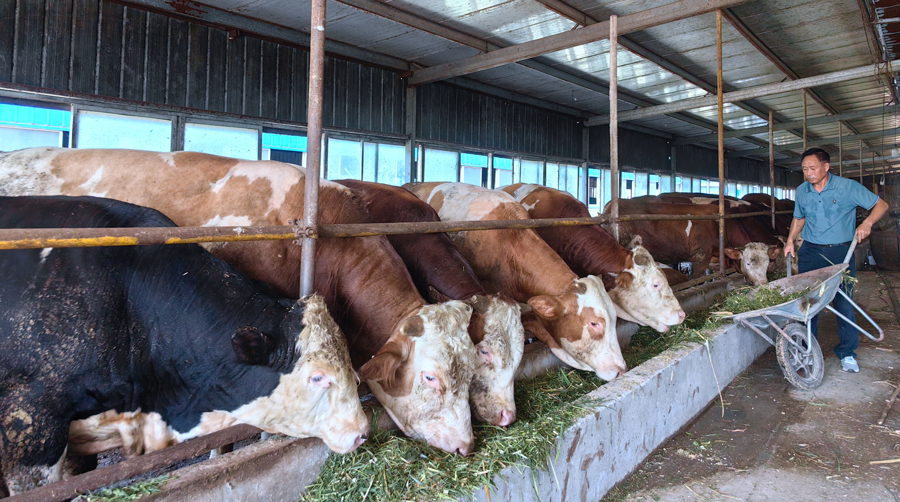 【锚定现代化改革再深化】靖江：拓展乡村产业发展空间村集体经济“百花齐放”(图2)