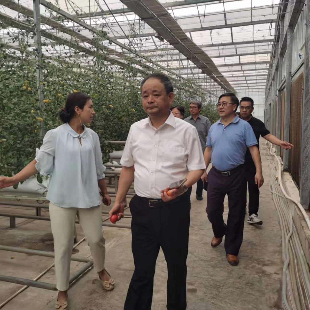 ag凯发上海市农业科学院考察莎车县设施农业发展情况