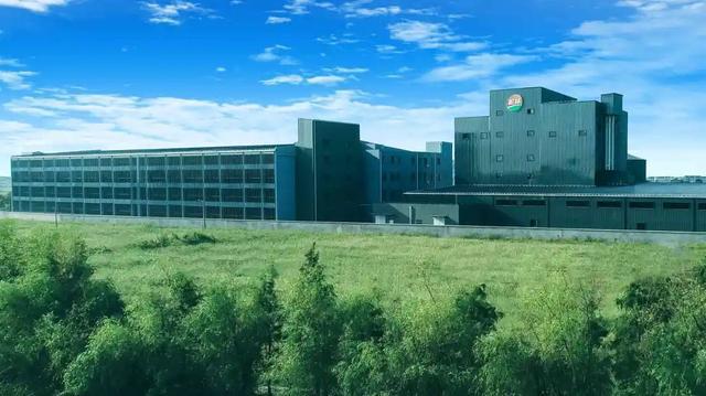 “金奖”背后——上海松林食品（集团）有限公司董事长王龙钦(图3)