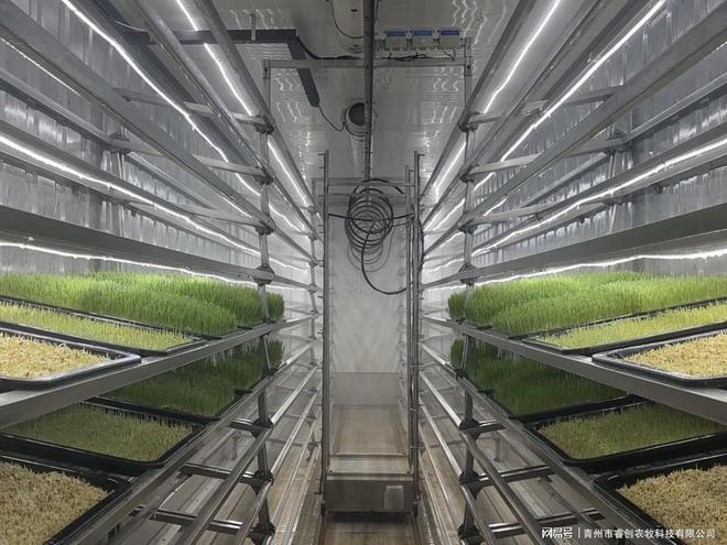 从源头把控品质：水培牧草设备为畜牧业提供安全的优质饲料！(图3)