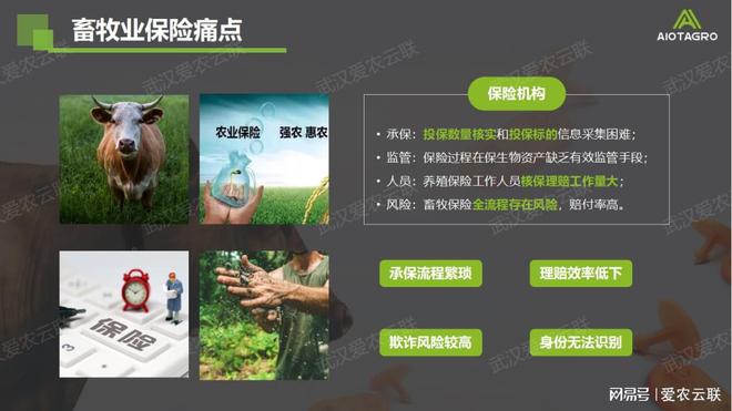 智慧牛只AI视觉识别：开启畜牧业保险与监管的智能时代(图2)