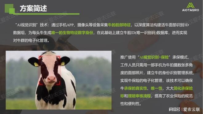 智慧牛只AI视觉识别：开启畜牧业保险与监管的智能时代(图4)