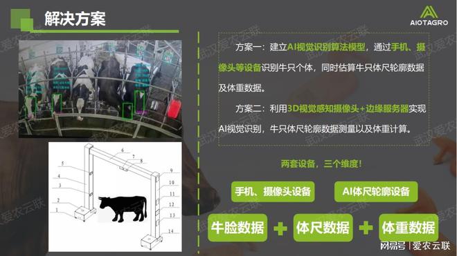 智慧牛只AI视觉识别：开启畜牧业保险与监管的智能时代(图3)