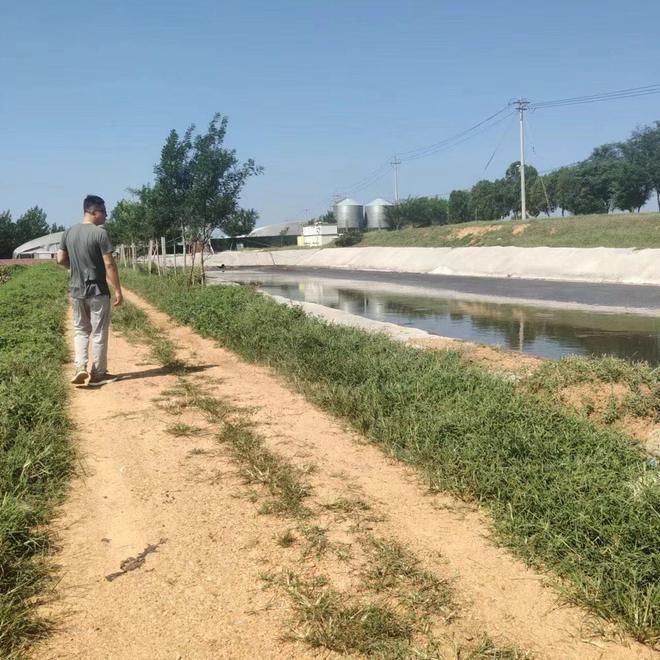 百尺河畜牧兽医站开展畜禽粪污处理检查工作凯发旗舰厅(图1)