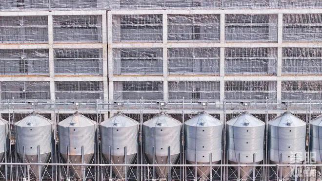 ag凯发小猪住高楼！资阳“楼房养猪”项目预计本月竣工(图3)