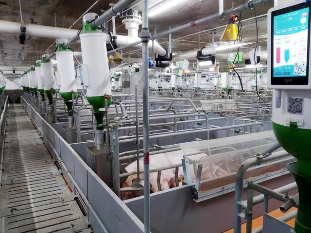 5G+云端中国移凯发旗舰厅动广西公司联合打造5G智能设施楼房猪场(图3)