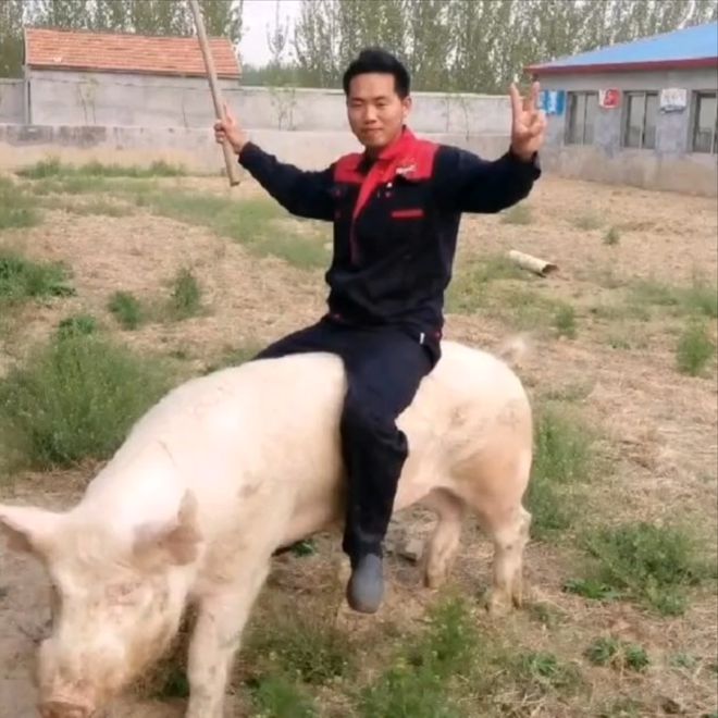 河北小伙跑俄罗斯养猪8年时间成“养猪大王”娶00后大俄美女(图3)