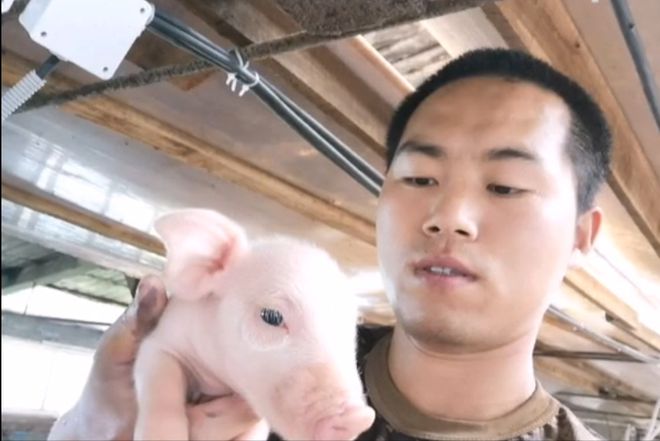 河北小伙跑俄罗斯养猪8年时间成“养猪大王”娶00后大俄美女(图18)