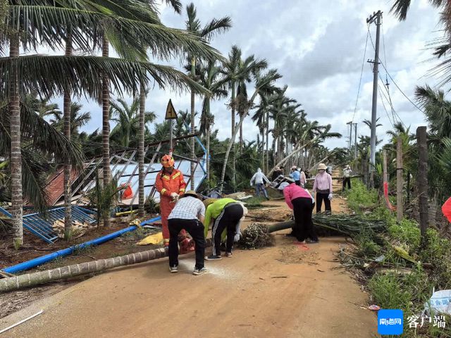 复工复产进行时｜海口三门坡镇畜牧业按下灾后重建“加速键”