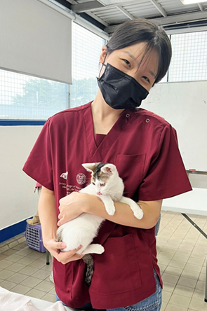 香港城市大学培育未来兽医促凯发国际进动物健康与福利(图4)