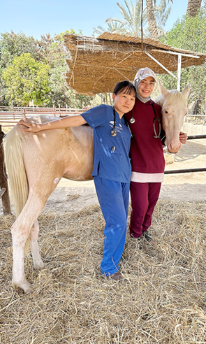 香港城市大学培育未来兽医促凯发国际进动物健康与福利