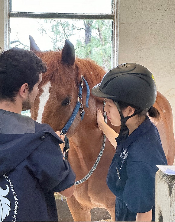 香港城市大学培育未来兽医促凯发国际进动物健康与福利(图5)